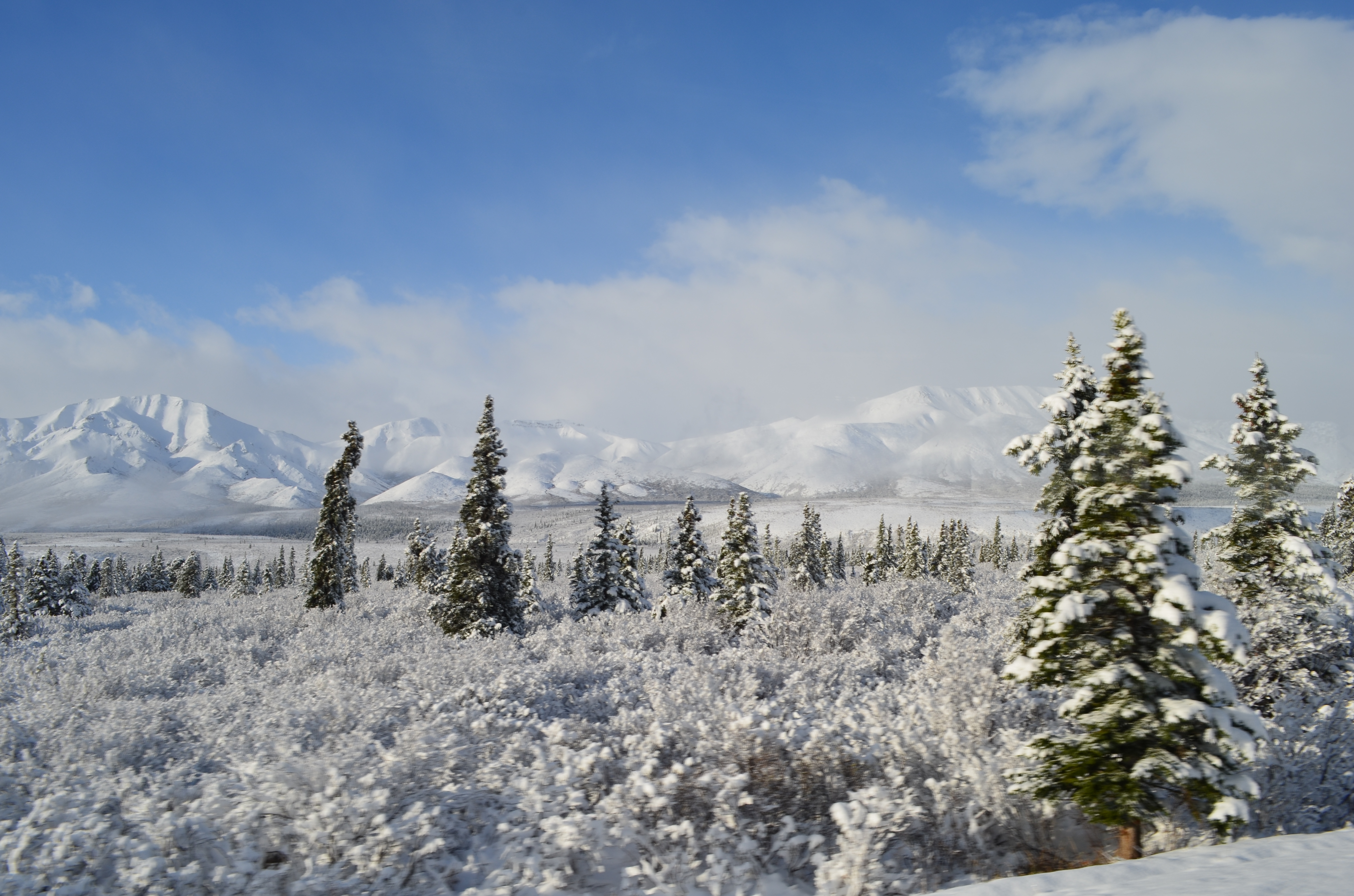 ./2017/08 - Alaska Cruise/03 - Denali/DSC_0216.JPG